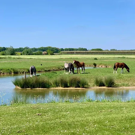 Safaritent Mini Campingplatz Kesteren