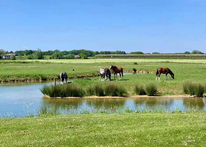 Safaritent Mini Campingplatz Kesteren